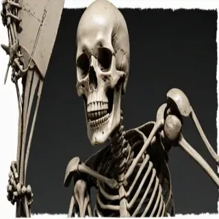 skelton png
