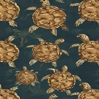 turtle backgrounds