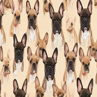 french bulldog background