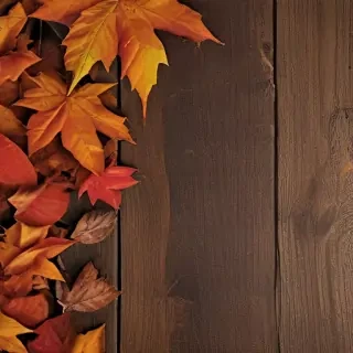 autumn iphone wallpaper