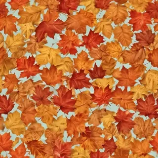 autumn leaves png