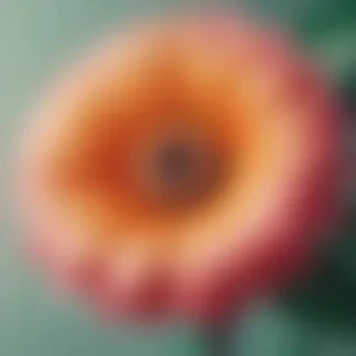 cute and simple wallpapers