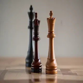 rook chess