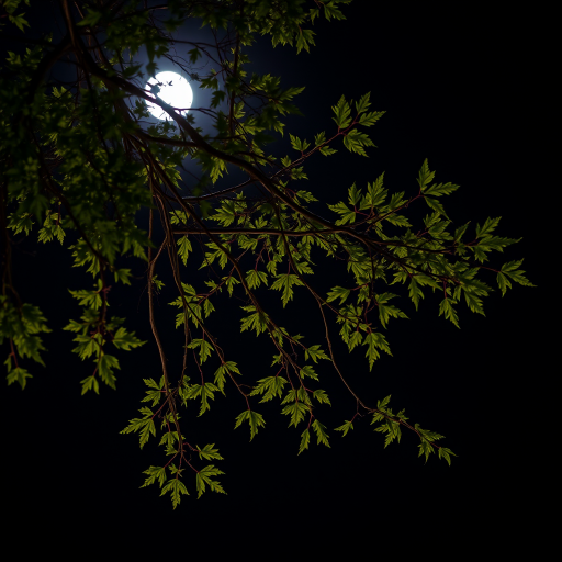 Capture a high-contrast night photograph of a tree branch with detailed foliage illuminated by moonlight, using a DSLR camera, 50mm lens, f/1.8 aperture, ISO 400, 1/60 sec shutter speed, shot from a low angle to emphasize the branches against a dark sky.