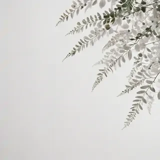 white background aesthetic