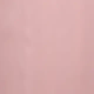 plain light pink