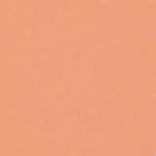 peach color background
