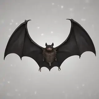bat wings png
