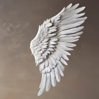 angel wing pictures