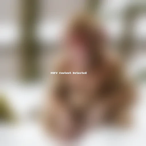 snow monkey