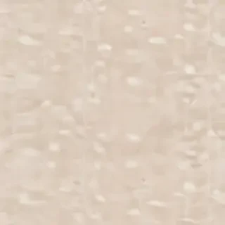 neutral aesthetic wallpaper