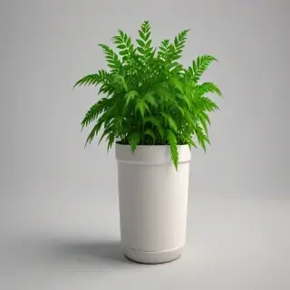 pot png