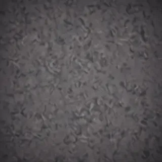 booty backgrounds