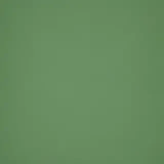 plain green bg