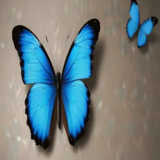 blue butterfly aesthetic