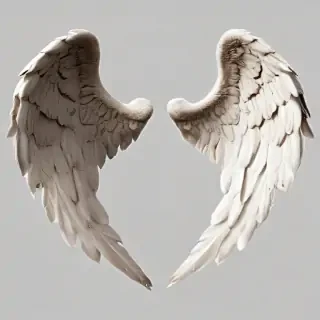 angel wings transparent background