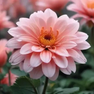 cute aesthetic flower wallpapers