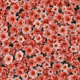 simple flower background