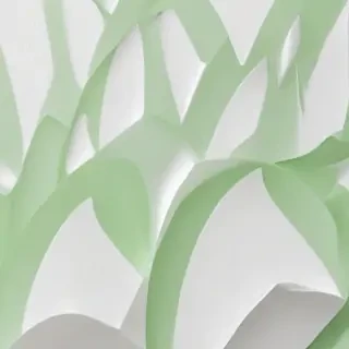 white and green background