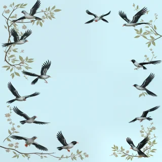 birds transparent background