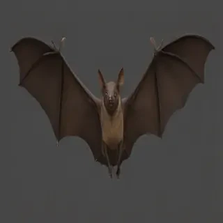 bat png