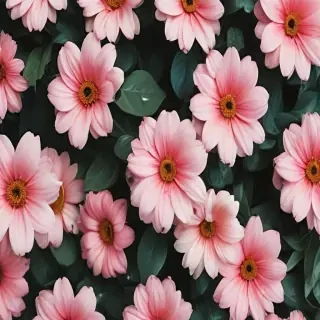 cute aesthetic flower wallpaper
