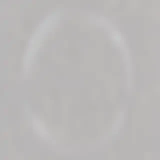 circle transparent