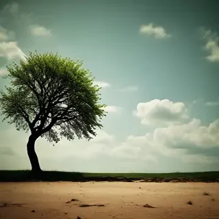 thought wallpaper