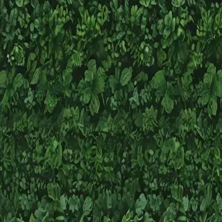 greenery background aesthetic