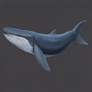 blue whale png