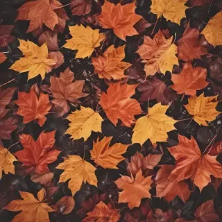 fall iphone wallpaper