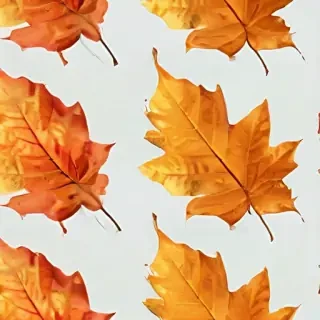 autumn leaf png