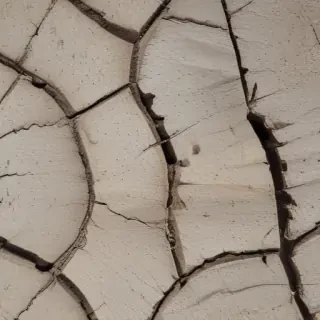 crack texture