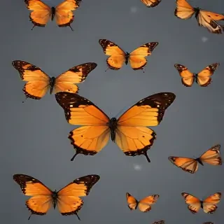 butterfly with transparent background