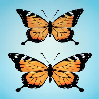 butterfly phone background