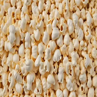 png popcorn