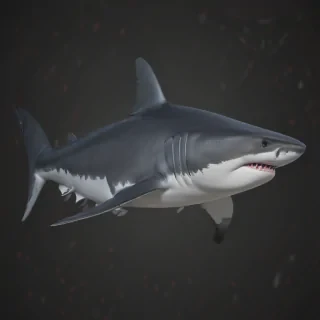 shark png