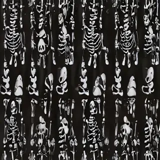 skeleton wallpaper
