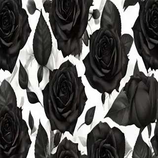 black roses png