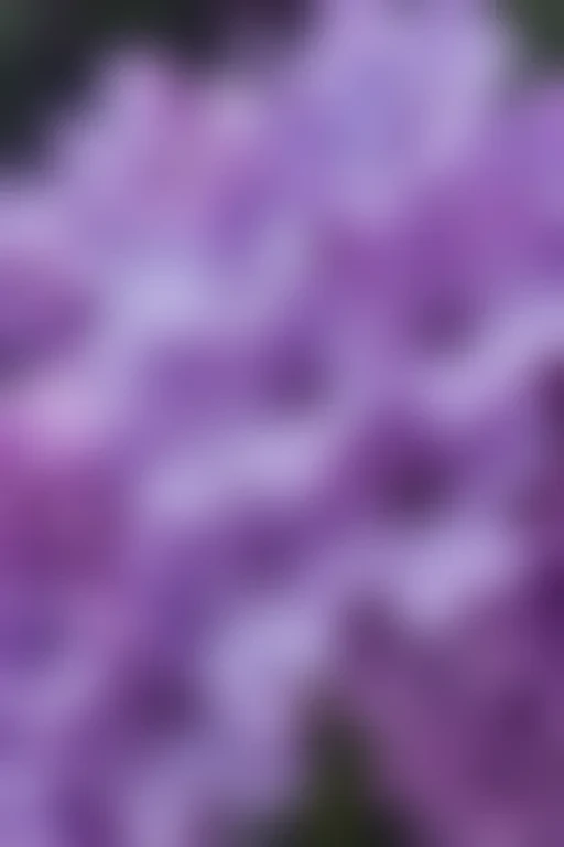 lilac iphone wallpaper