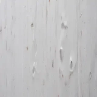 white wood texture