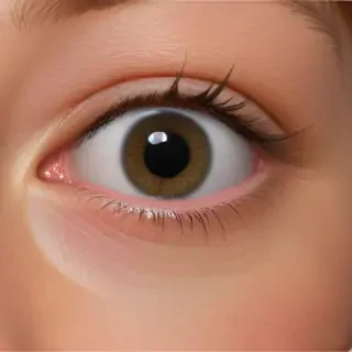 nose.png