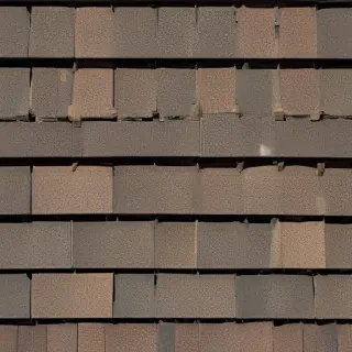 picture of shingles