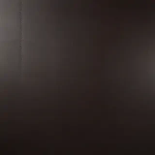 leather background