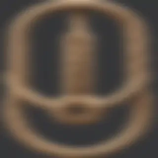 rope png