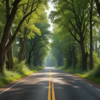 country road