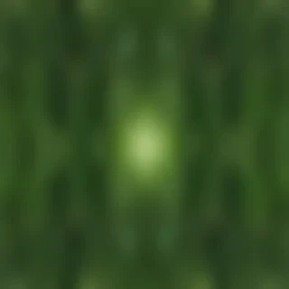 leaf circle