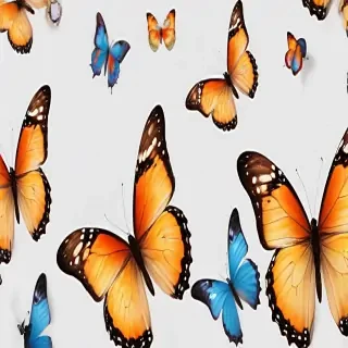 butterflies transparent background
