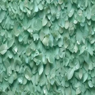 mint green bg