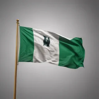 nigerian flag png